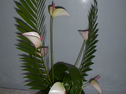 EXPOSITION 2015 JEUX  DE LIGNES